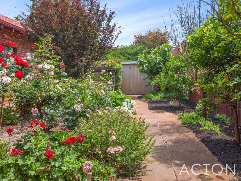 7 Red Wattle Place, Churchlands WA 6018