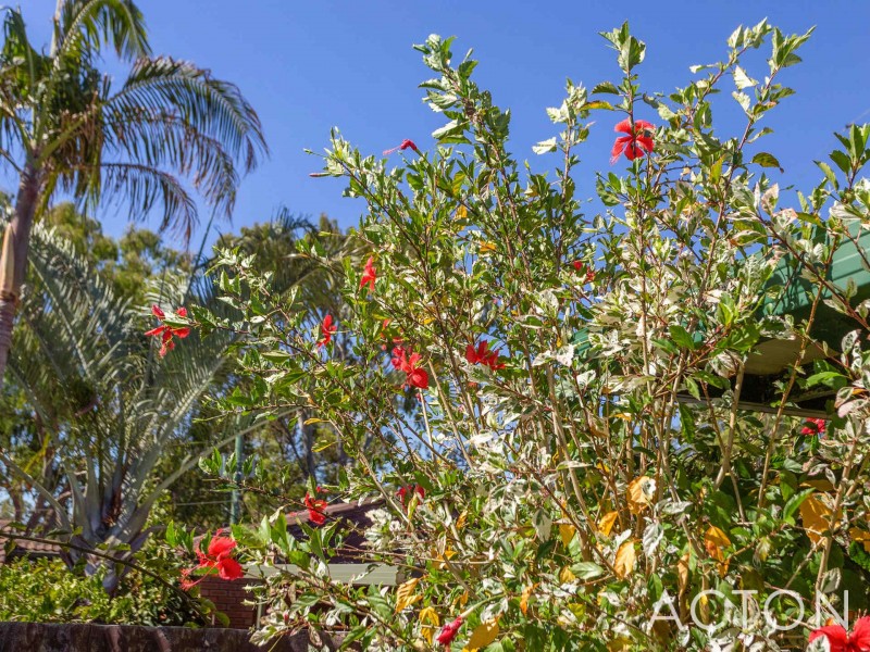 107A Corbett Street, Wembley Downs WA 6019