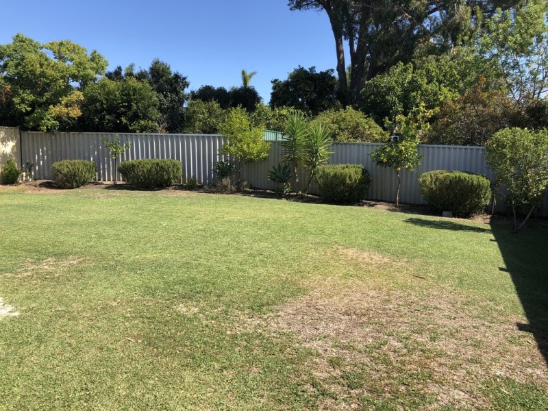 17 Linden Gardens, Floreat WA 6014