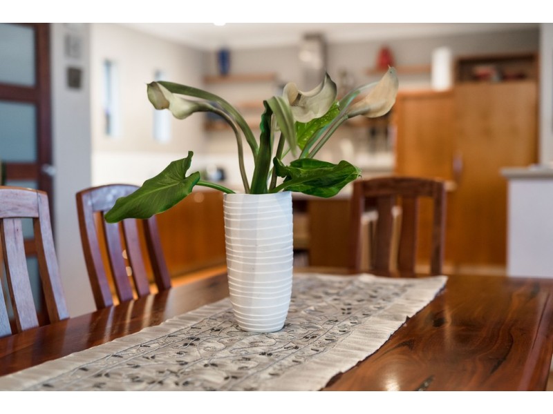 206A Ewen Street, Doubleview WA 6018