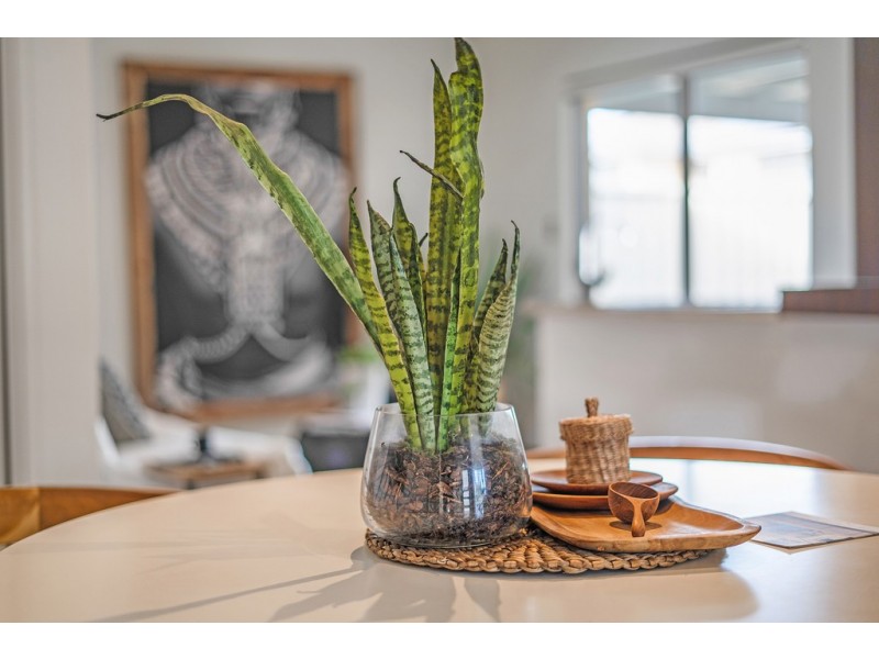 1/16 Wallace Street, Belmont WA 6104