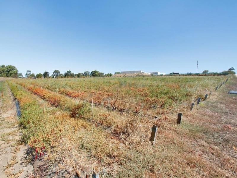 2060 and 2066 Wanneroo Road, Neerabup WA 6031