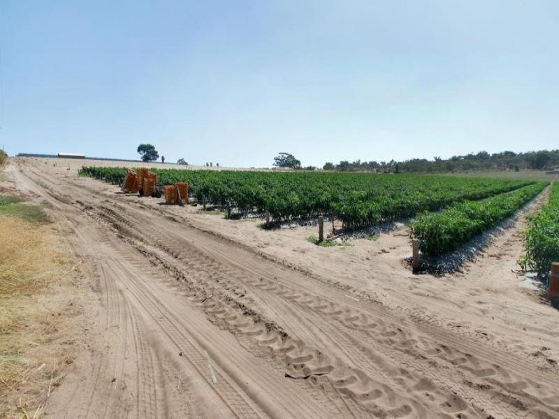 2060 and 2066 Wanneroo Road, Neerabup WA 6031