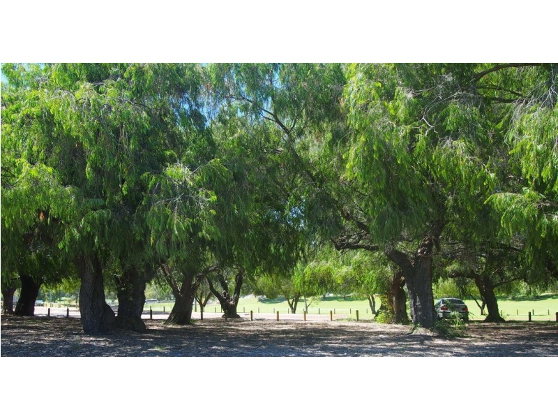 55 Oceanic Drive, Floreat WA 6014