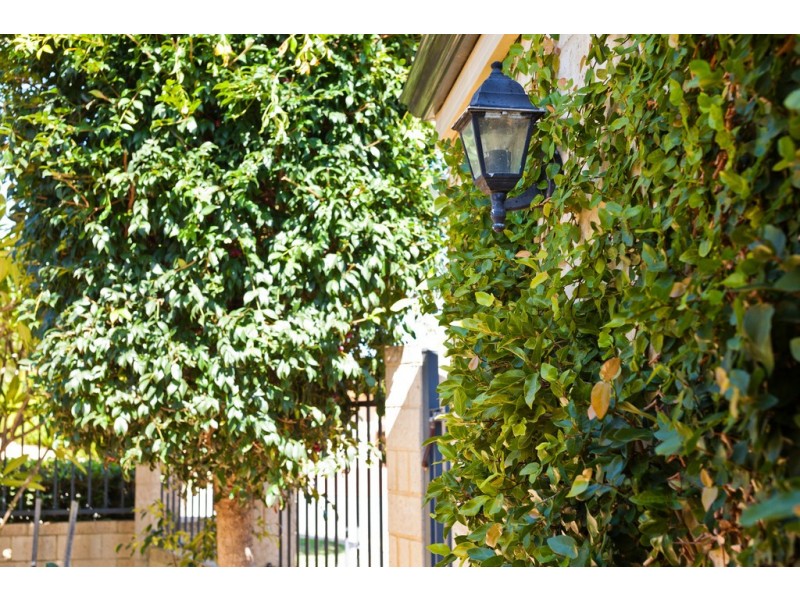 2A Marian Street, Innaloo WA 6018