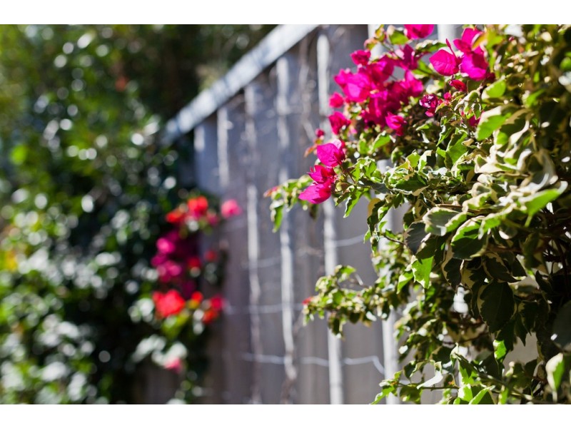 2A Marian Street, Innaloo WA 6018