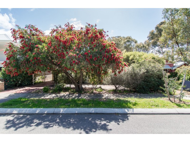 19 Brassey Street, Swanbourne WA 6010