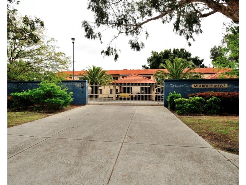 3/19 Rudkin Place, Koondoola WA 6064