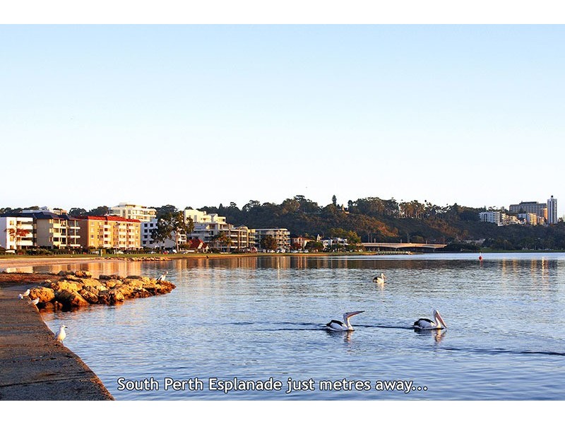 1D Scott Street, South Perth WA 6151