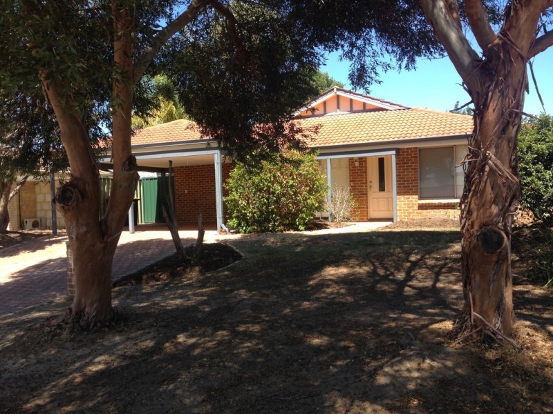 46 Mint Circuit, Banksia Grove WA 6031