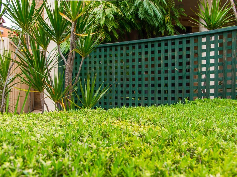 4/39 Megalong Street, Nedlands WA 6009