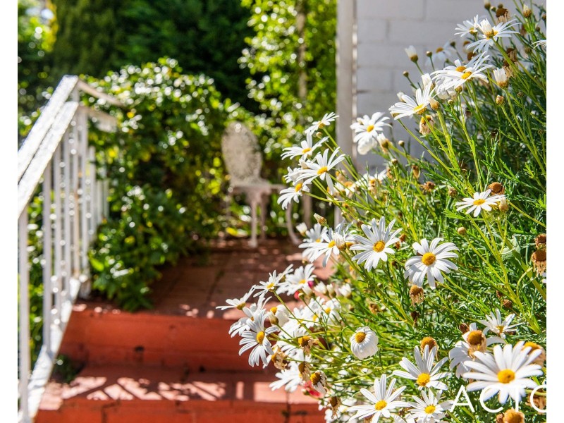 85 Kirwan Street, Floreat WA 6014