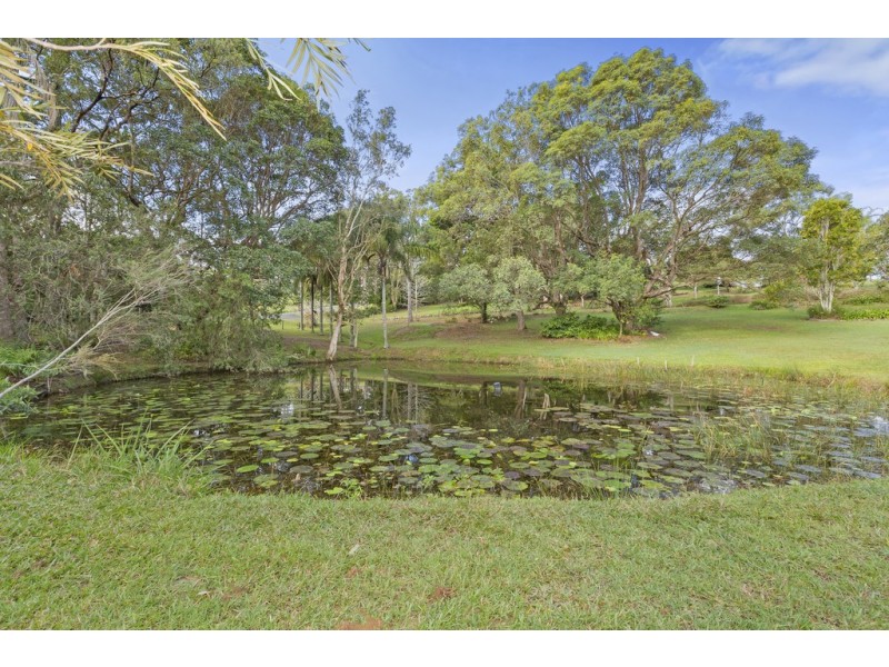 20 Hazelwood Drive, Pottsville NSW 2489