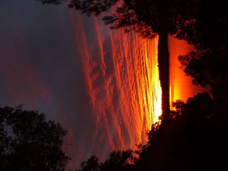 158 Broadwater Esplanade, Bilambil Heights NSW 2486