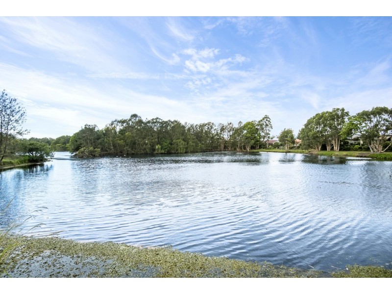 136 Botanical Circuit, Banora Point NSW 2486
