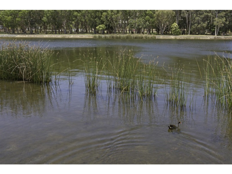 19 Narara Crescent, Banora Point NSW 2486