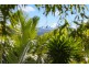 1 Diane Crescent, Bilambil Heights NSW 2486