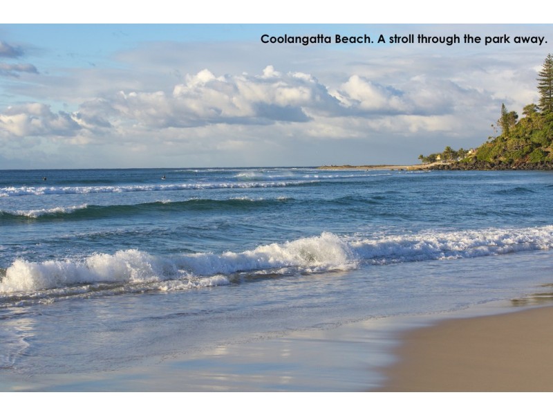 2 / 37 Dixon Street, Coolangatta QLD 4225