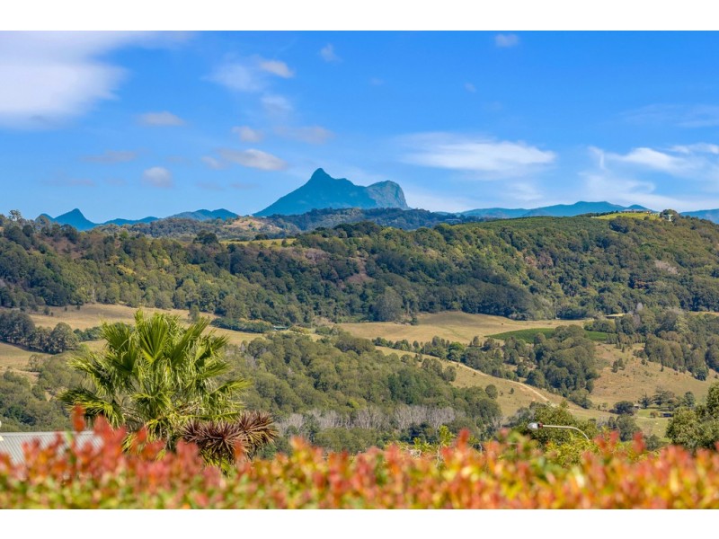 5 Snowgum Drive, Bilambil Heights NSW 2486