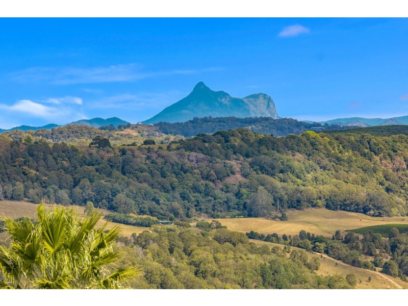 5 Snowgum Drive, Bilambil Heights NSW 2486