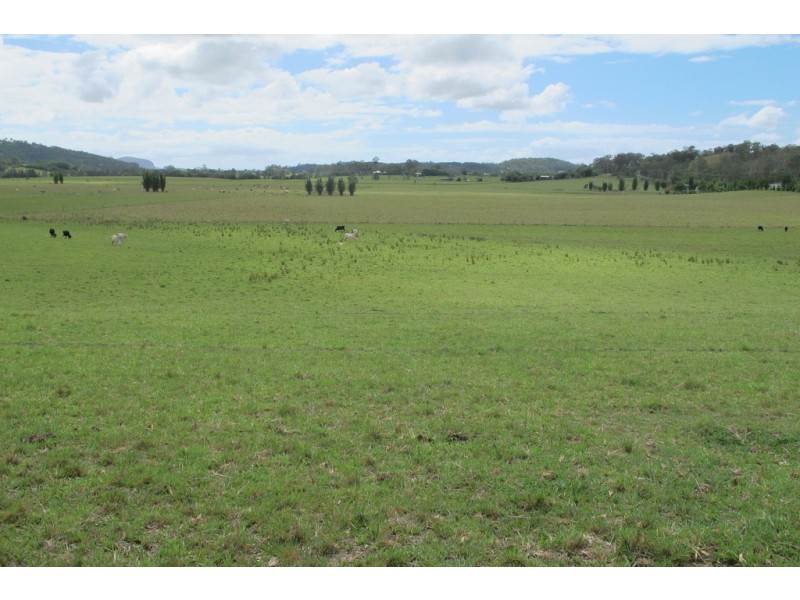 199 Yandina Bli Bli Road, Maroochy River QLD 4561