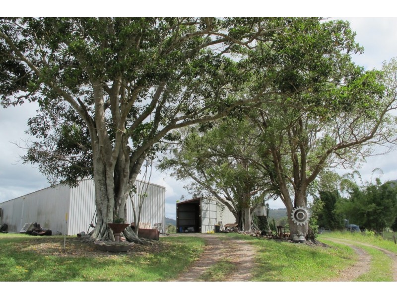 199 Yandina Bli Bli Road, Maroochy River QLD 4561