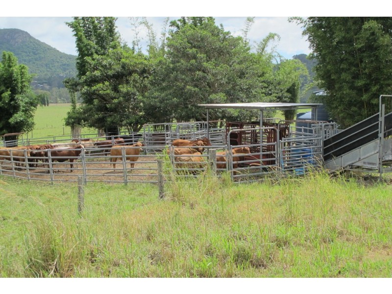 199 Yandina Bli Bli Road, Maroochy River QLD 4561