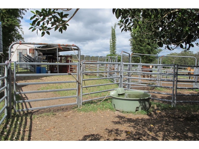 199 Yandina Bli Bli Road, Maroochy River QLD 4561