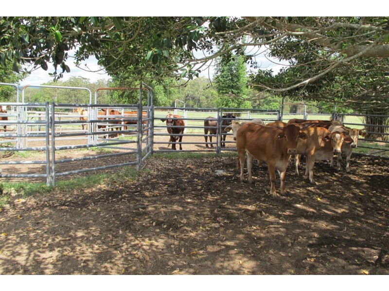 199 Yandina Bli Bli Road, Maroochy River QLD 4561