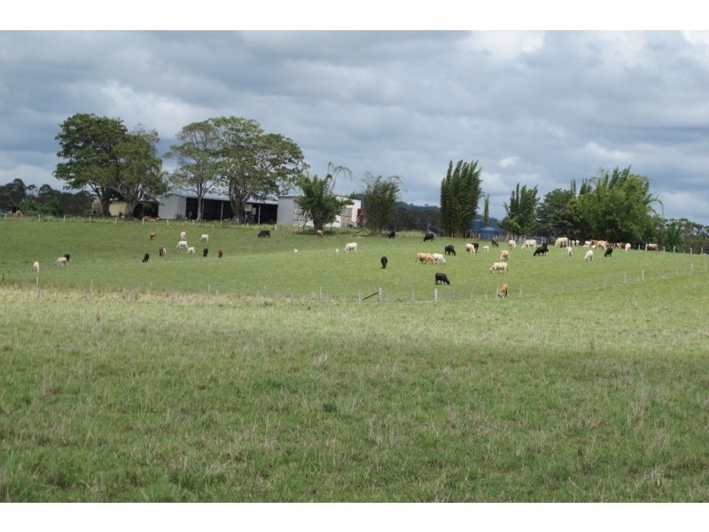 199 Yandina Bli Bli Road, Maroochy River QLD 4561