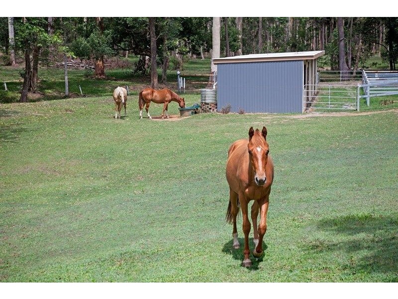 44 Eudlo Flats Road, Kiels Mountain QLD 4559