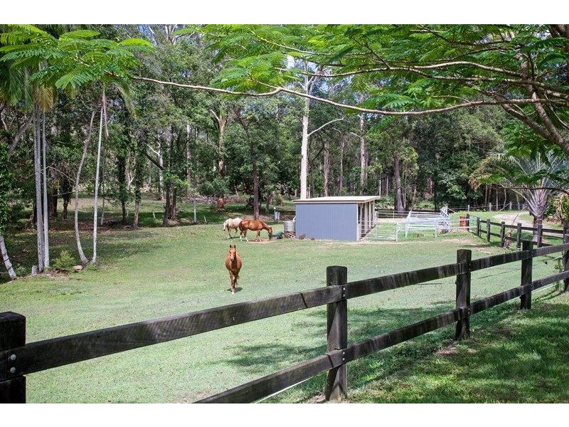 44 Eudlo Flats Road, Kiels Mountain QLD 4559