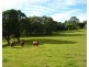 170 Dulong School Road, Dulong QLD 4560