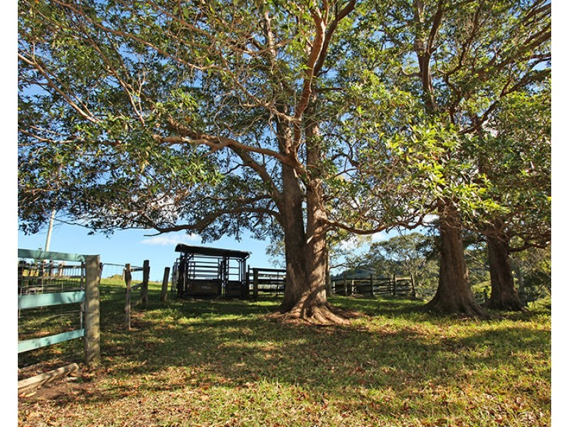 170 Dulong School Road, Dulong QLD 4560