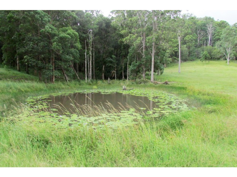 49 Fleetwood Road, Belli Park QLD 4562