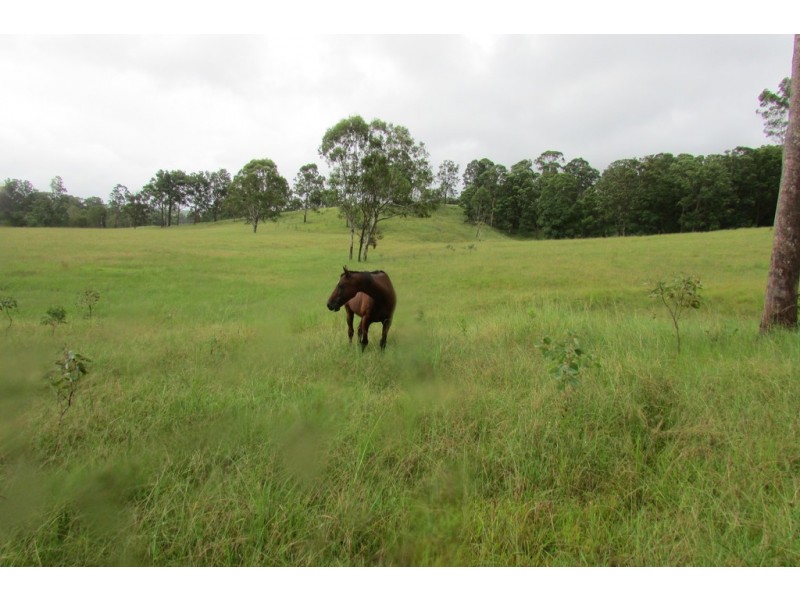 49 Fleetwood Road, Belli Park QLD 4562