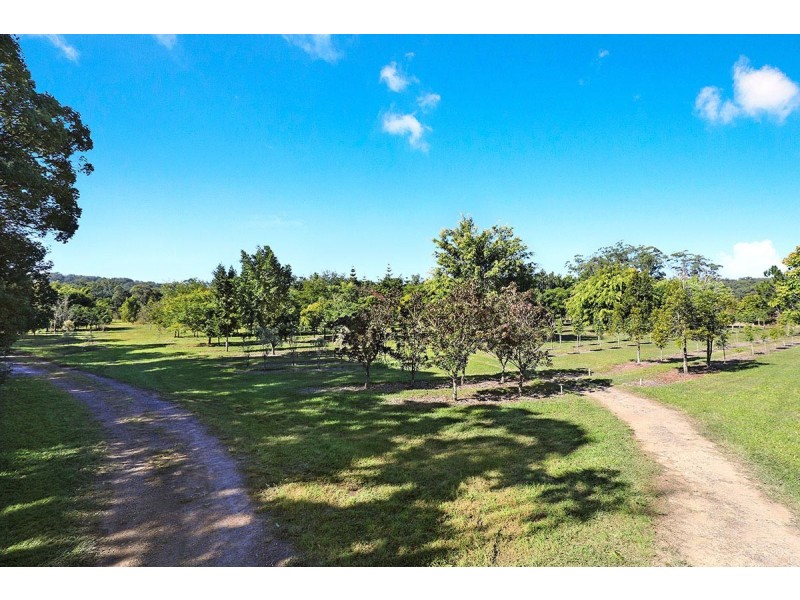 190 McGilchrist Road, Palmwoods QLD 4555