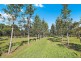 190 McGilchrist Road, Palmwoods QLD 4555