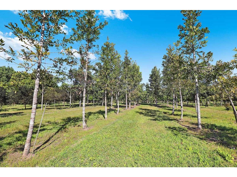 190 McGilchrist Road, Palmwoods QLD 4555
