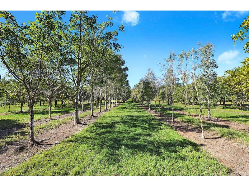 190 McGilchrist Road, Palmwoods QLD 4555