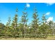 190 McGilchrist Road, Palmwoods QLD 4555