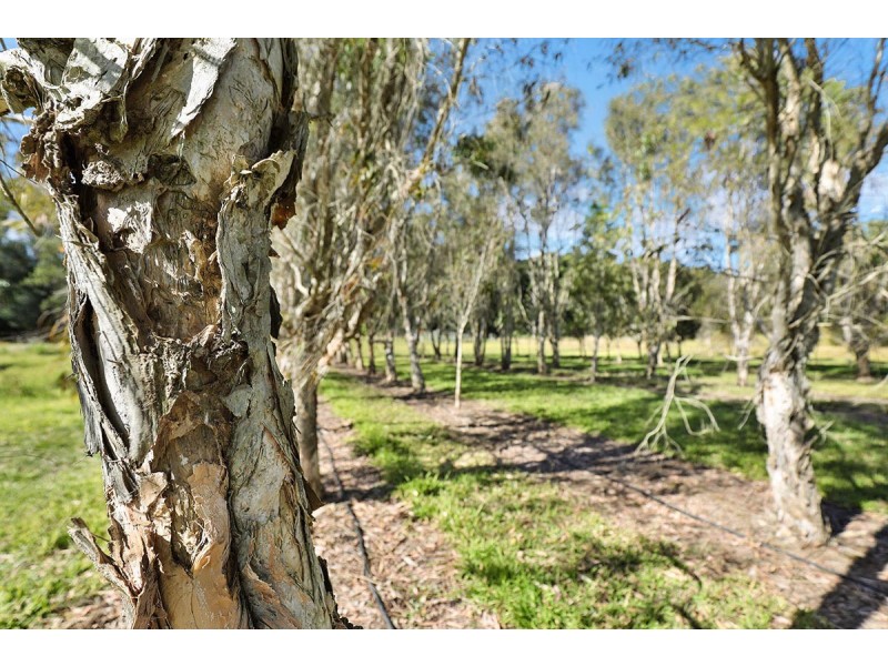 190 McGilchrist Road, Palmwoods QLD 4555