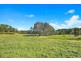 190 McGilchrist Road, Palmwoods QLD 4555