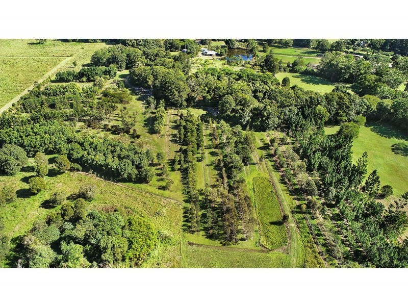 190 McGilchrist Road, Palmwoods QLD 4555