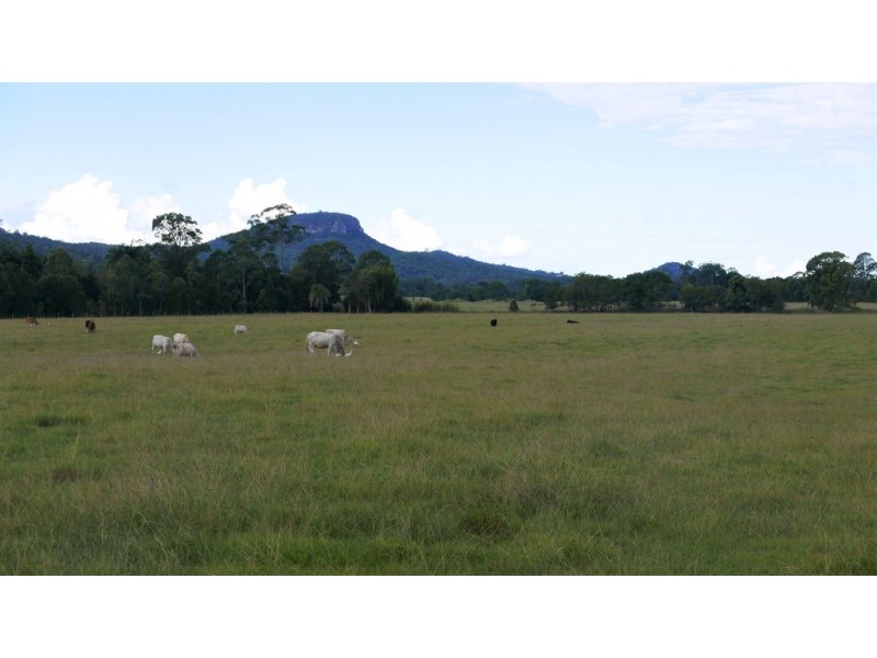 95 Lees Road, Bridges QLD 4561