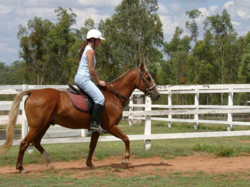 196 Ranger Road, Adare QLD 4343