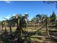 632 Doonan Bridge Road North, Doonan QLD 4562