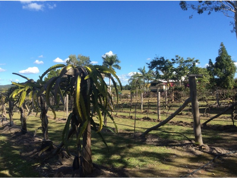 632 Doonan Bridge Road North, Doonan QLD 4562