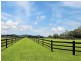 135 Burtons Road, Bridges QLD 4561