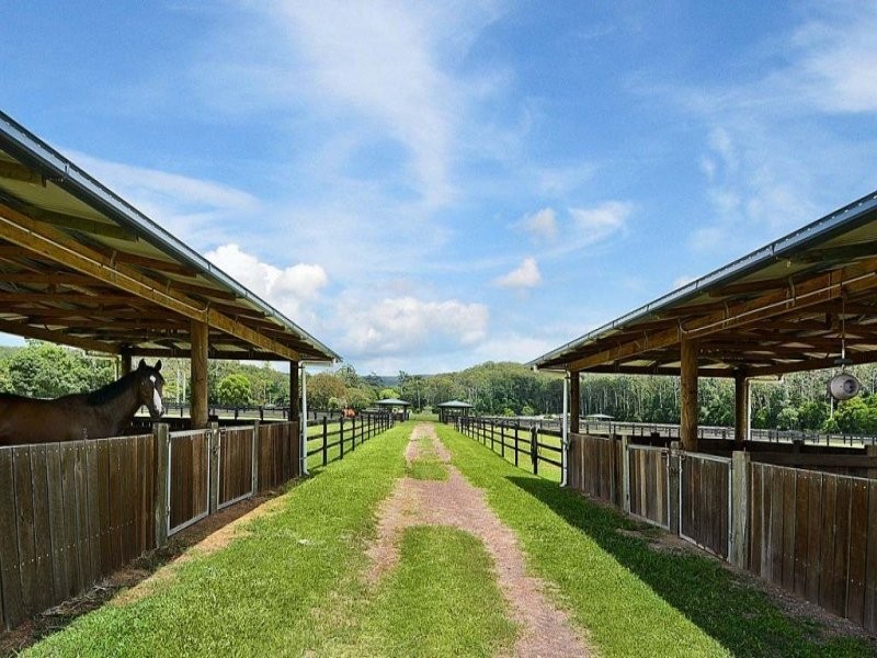 135 Burtons Road, Bridges QLD 4561
